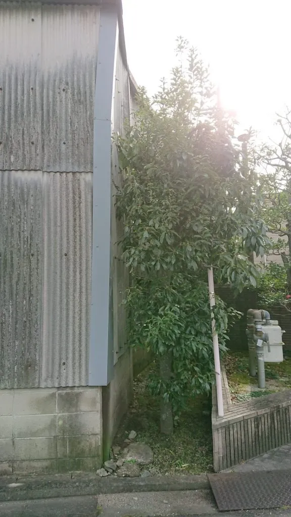 20221208145422.jpg